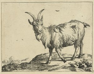 Seisova vuohi edestä Goats and Bucks (sarjan nimi)