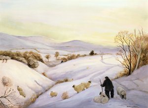 Lampaat harjulla tekijältä Margaret Loxton