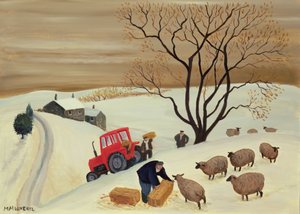 Heinän vieminen lampaille traktorilla tekijältä Margaret Loxton