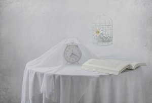 Serene Clock -kirja: Lintuhäkki tekijältä Margareth Perfoncio