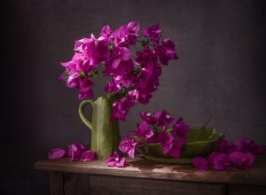 Eläväinen bougainvillea-asetelma tekijältä Margareth Perfoncio