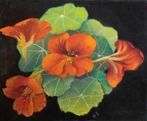 Nasturtiums, 2020 (pastelli) tekijältä Margo Starkey