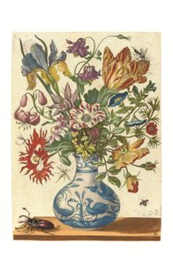 Lautanen Blumenbuchista (käsin väritetty kaiverrus) tekijältä Maria Sibylla Graff Merian