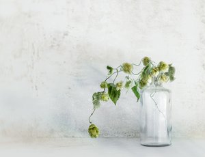  tekijältä Marie-anne Stas