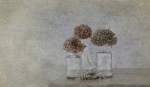  tekijältä Marie-anne Stas