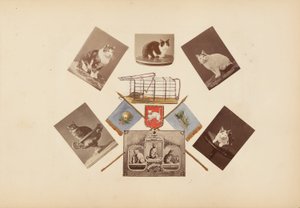 Madame B -albumi tekijältä Marie-Blanche-Hennelle Fournier