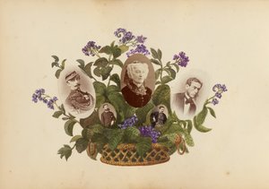 The Madame B -albumi, 1870-luku.