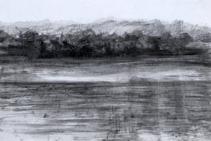 Järvi, 2023 (öljy ja hiili paperille) tekijältä Marina Falco