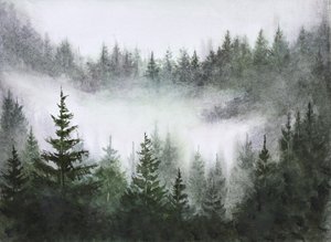 Sumuisen metsän seesteisyys
