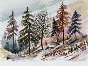Aamunkoitto lumisessa metsässä