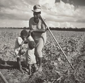 Musta nainen antaa lapsilleen juotavaa pellolla, jossa hän niittää puuvillaa FSA:n osuustoimintaprojektissa (Allen Plantation).
