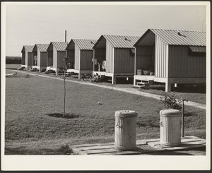 Asuntoja siirtolaisvihannesten poimijoille, Osceolan työleirit, FSA:n rakentama, Belle Glade, Florida.