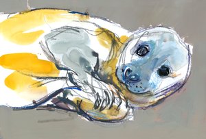Utelias itseluottamus, 2023 tekijältä Mark Adlington