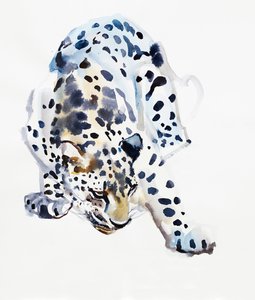 Arabian Leopardi, 2008 tekijältä Mark Adlington