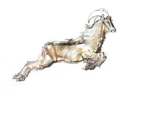 Arabian Tahr, 2009 (conte ja puuhiili paperilla) tekijältä Mark Adlington