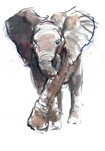 Baby Charge, 2018 tekijältä Mark Adlington