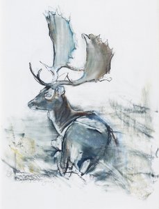 Buck in the Grass, 2006 (hiili ja conte paperille). tekijältä Mark Adlington