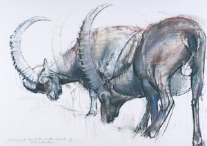Rakentaminen talvea varten, 2006 (hiili ja conte paperilla) tekijältä Mark Adlington