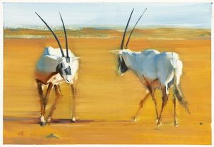Circling Arabian Oryx, 2010 (öljy paperille) tekijältä Mark Adlington