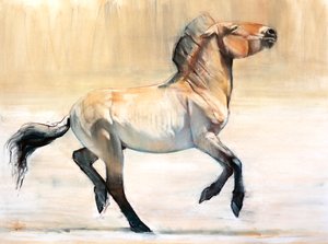 Equus (Przewalski), 2014, (pastelli ja hiili paperille)