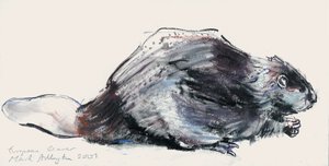 European Beaver (tutkimus) 2001 (hiili ja conte paperilla) tekijältä Mark Adlington