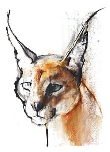 Kissa (Arabian Caracal), 2009 (conte und charcoal paperilla) tekijältä Mark Adlington