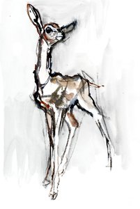 Gerenuk fawn, Sarara, 2018 tekijältä Mark Adlington