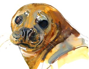 Ginger Pup, Westcove, 2023 tekijältä Mark Adlington