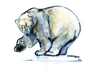 Isbjørn, 2013, (akvarelli ja guassi paperille) tekijältä Mark Adlington