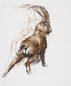 Leg Stretch (hiili ja conte paperilla) tekijältä Mark Adlington