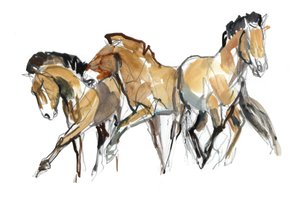Mistral Three (Przewalski), 2013 (sennelier-muste, akvarelli ja guassi)