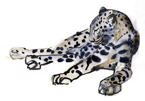 Makaava (Arabian Leopard), 2008 tekijältä Mark Adlington