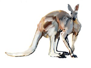 Roo, (Punainen kenguru), 2012, (akvarelli ja pigmentti paperille)