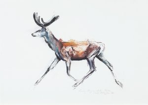 Running Stag in velvet, Polsen, 2006 (hiili ja conte paperilla) tekijältä Mark Adlington