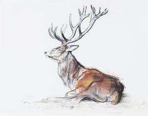 Seated Stag, 2006 (hiili ja conte paperilla) tekijältä Mark Adlington