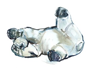 Snow Rub (jääkarhu), 2013 (akvarelli ja guassi paperille) tekijältä Mark Adlington