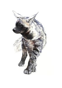 Raidallinen hyeenanpentu, 2010, (conté ja pastelli paperilla) tekijältä Mark Adlington