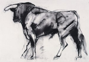 Toro Azul, tutkimus (hiili paperilla) tekijältä Mark Adlington