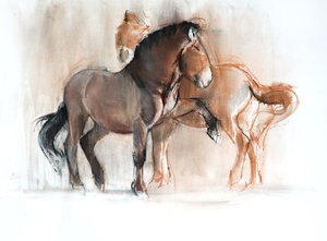 Kaksi (Przewalski), 2013, (pastelli ja hiili paperille).