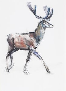 Velvet, 2006 (hiili ja conte paperilla) tekijältä Mark Adlington