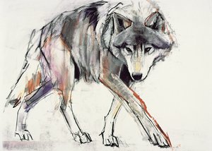 Wolf (sekatekniikka paperille) tekijältä Mark Adlington