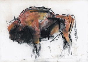 Zubre, Bialowieza (hiili ja conte paperilla)