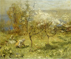 Apple Blossoms (öljy kankaalle)