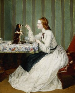 Lahjoitukset onneksi vastaanotettu, 1862