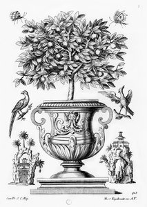 Sitruspuita, noin 1735 tekijältä Martin Engelbrecht