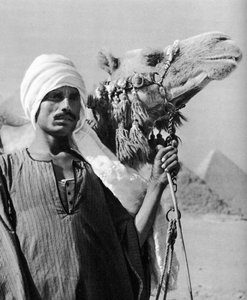 Cameldriver lähellä pyramideja, Egypti, 1937