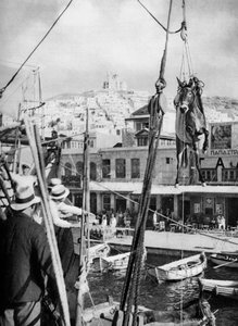Muulien laivaus, Syros Island, Kreikka, 1937. tekijältä Martin Hurlimann