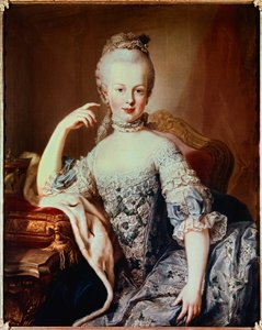 Muotokuva Marie Antoinettesta (1755-1793) Tuleva Ranskan kuningatar Martin van Meytensin maalaus (1695-1770) Noin 1767. Vienne, Chateau de Schoenbrun (Schonnbrun)