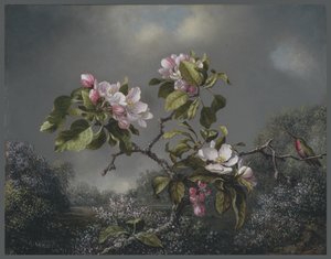 Apple Blossoms and Hummingbird, 1871 tekijältä Martin Johnson Heade