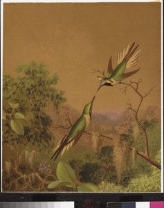 Brasilian hummingbirds IV tekijältä Martin Johnson Heade